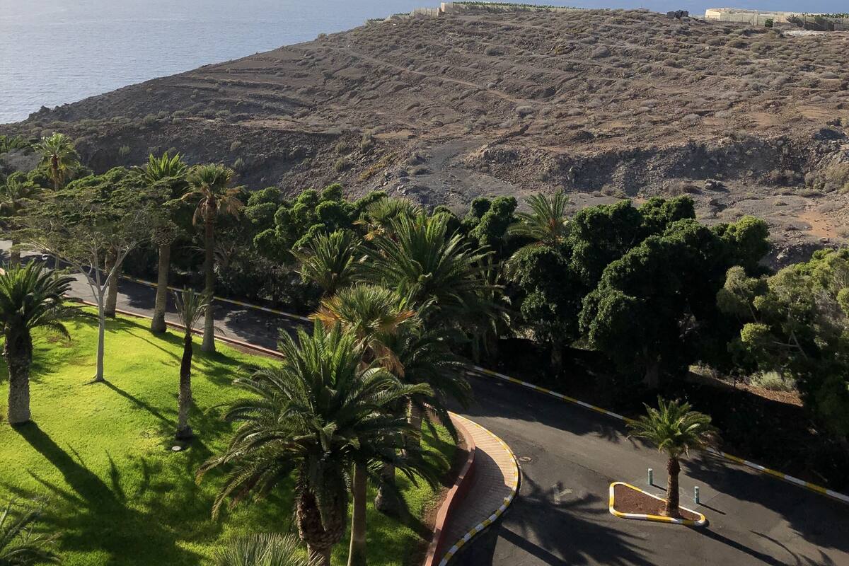 A coastal landscape with a road curving around a grassy area with palm trees, leading to a rocky hillside with sparse vegetation.