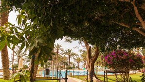 A pool area with palm trees, a pathway, and a view of the pool. - Club Hotel Marazul (Adeje)