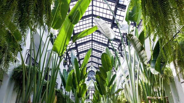 An indoor atrium with a glass ceiling, surrounded by lush tropical plants and a central water feature. - The Siam (Bangkok)