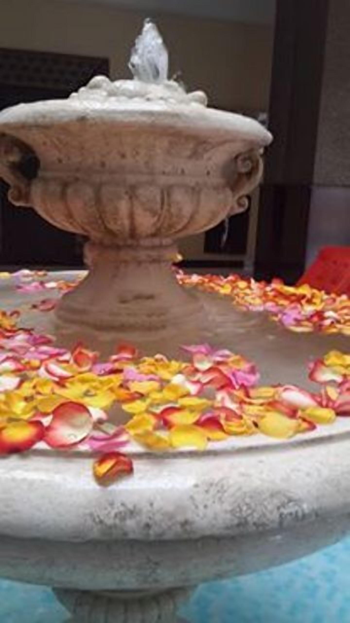 Foto - Les Acacias Hotel Djibouti