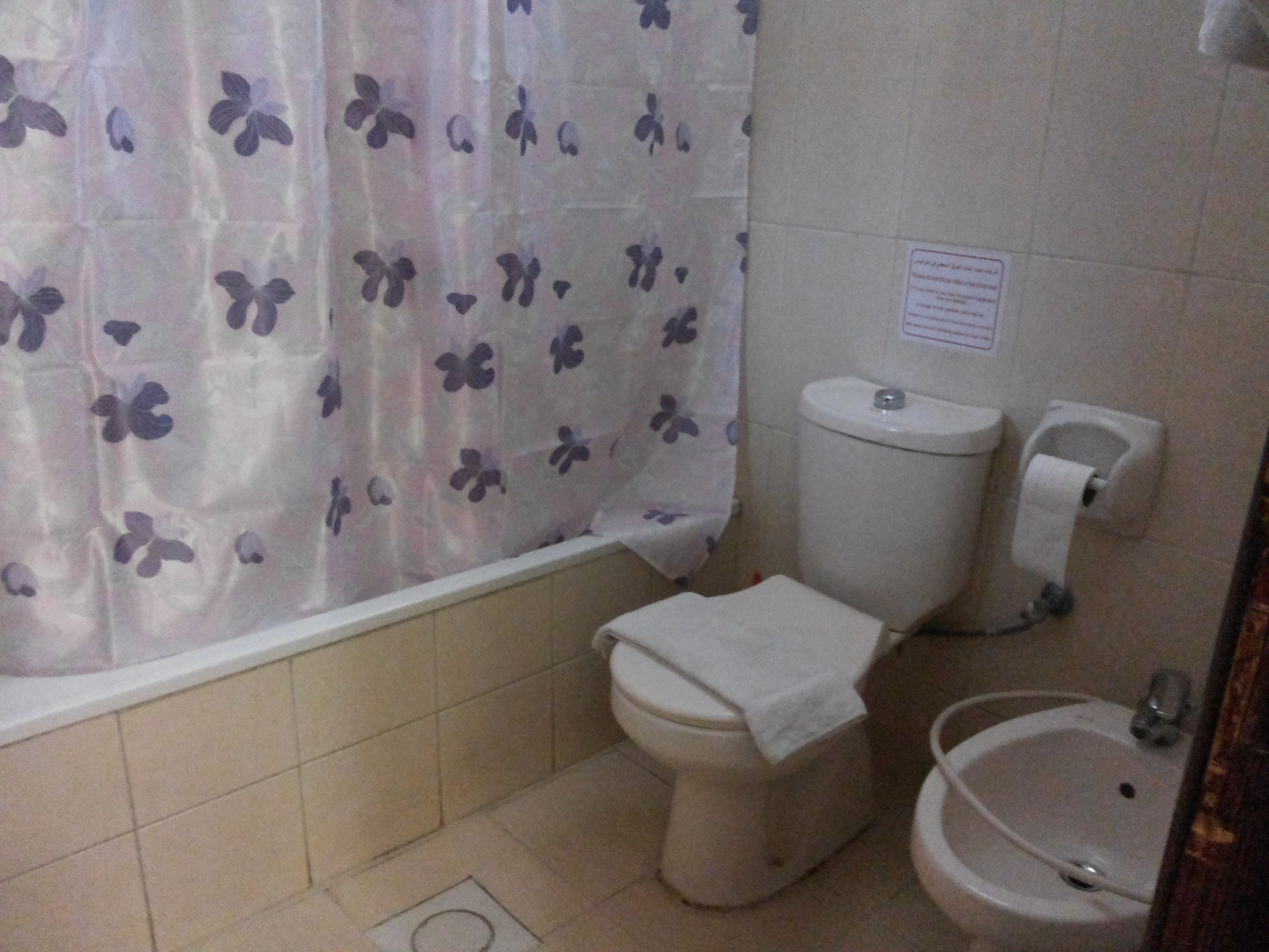standard triple room, ground floor | bathroom | combined shower/bathtub, rainfall showerhead, free toiletries, bidet