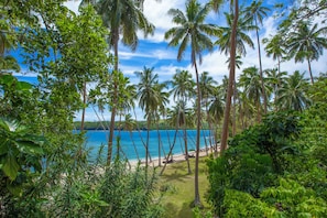 Quang cảnh từ phòng