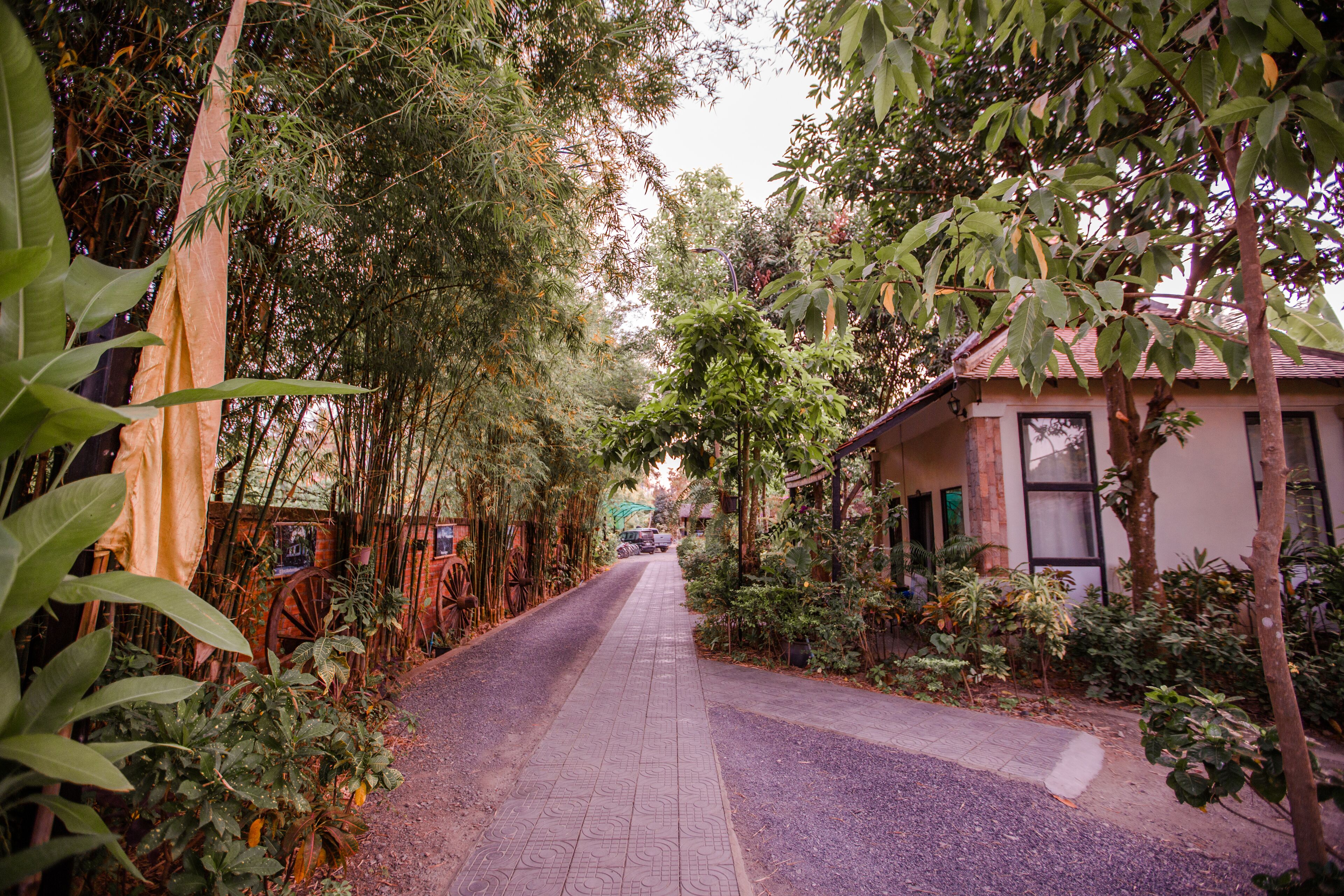 A paved pathway flanked by dense foliage and a building with a tiled roof.