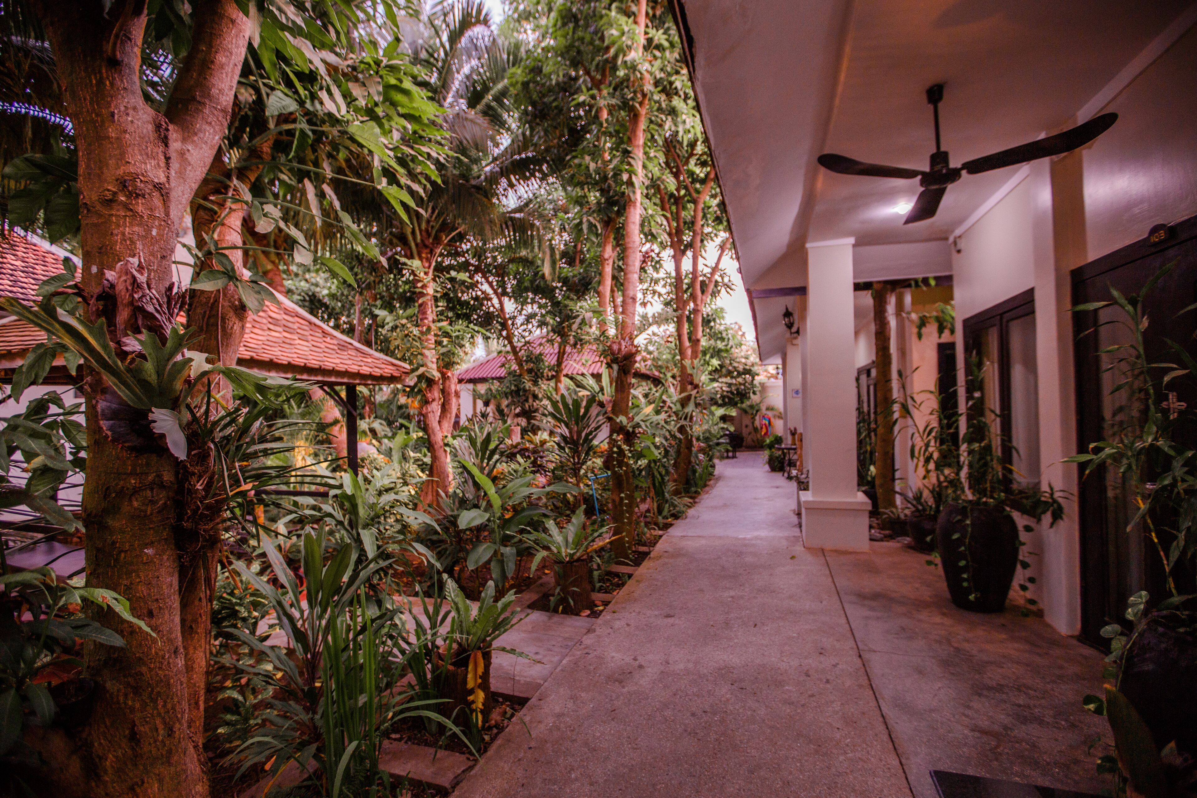 A narrow corridor with a concrete floor, surrounded by lush tropical plants and trees.