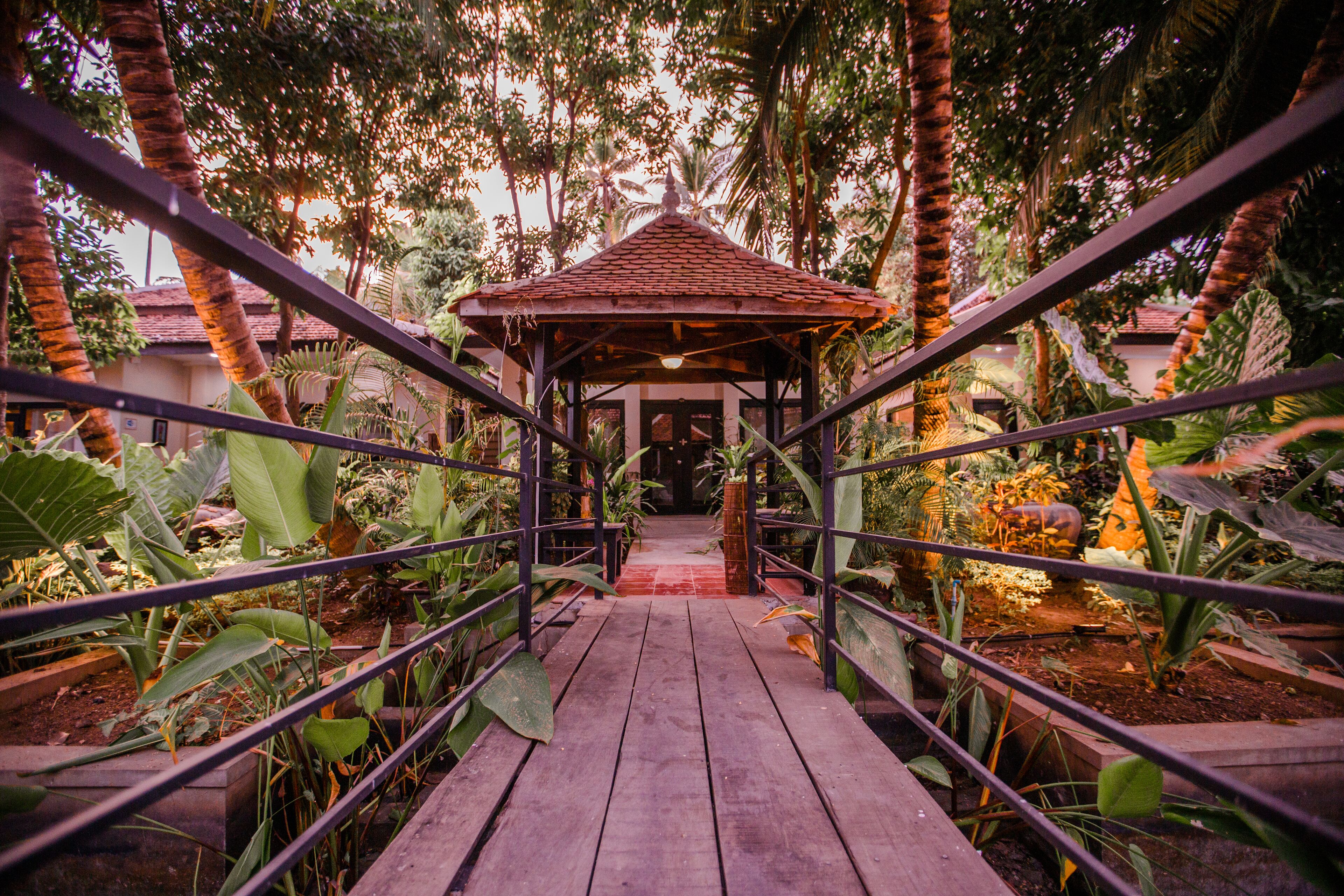 Deluxe Twin Room - Free Pickup | View from room