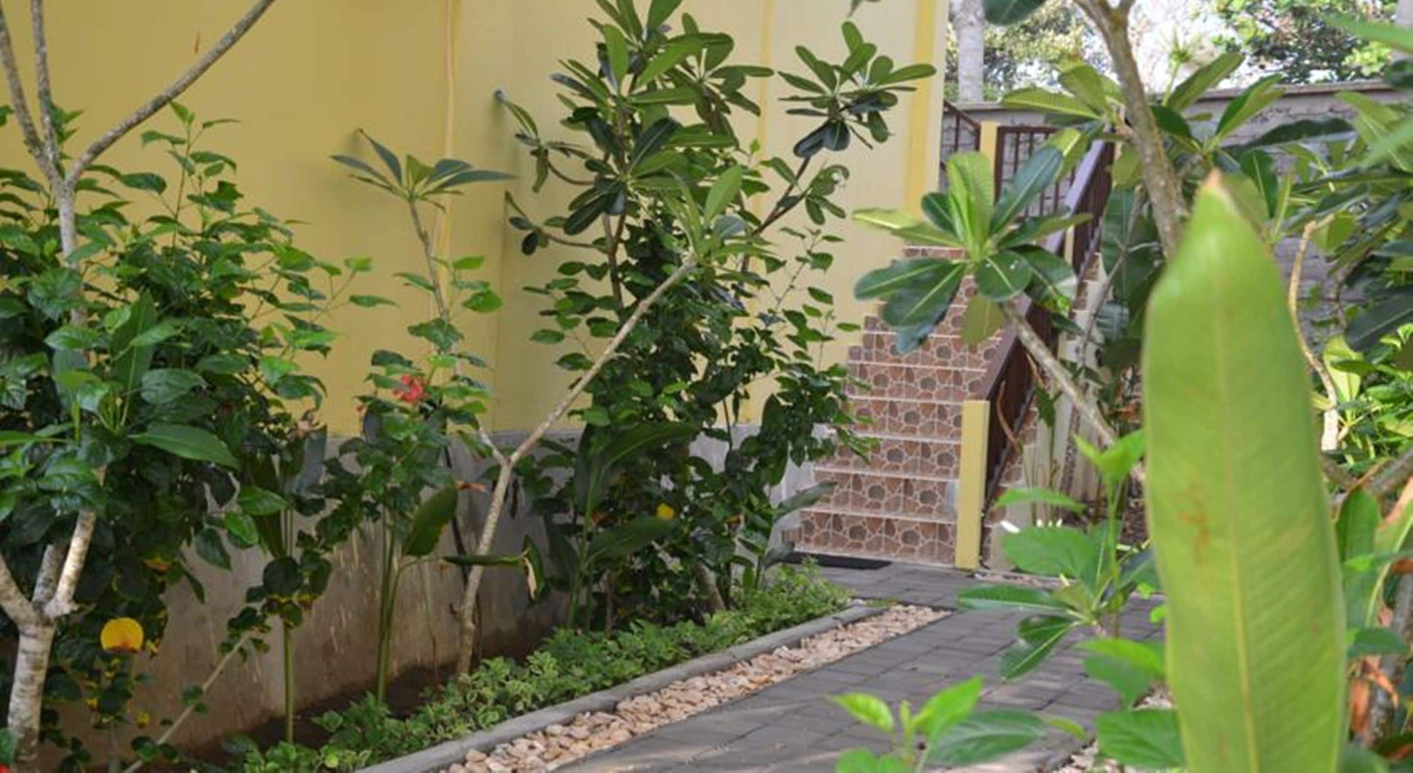 A garden with various plants and a pathway.