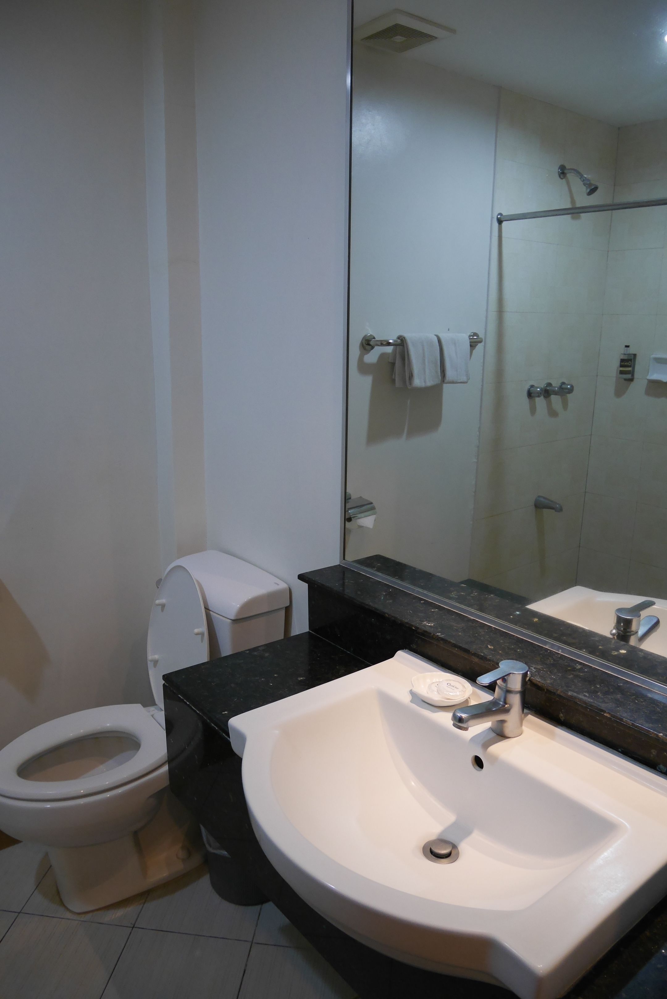 A bathroom with a toilet, sink, and a glass-enclosed shower area.