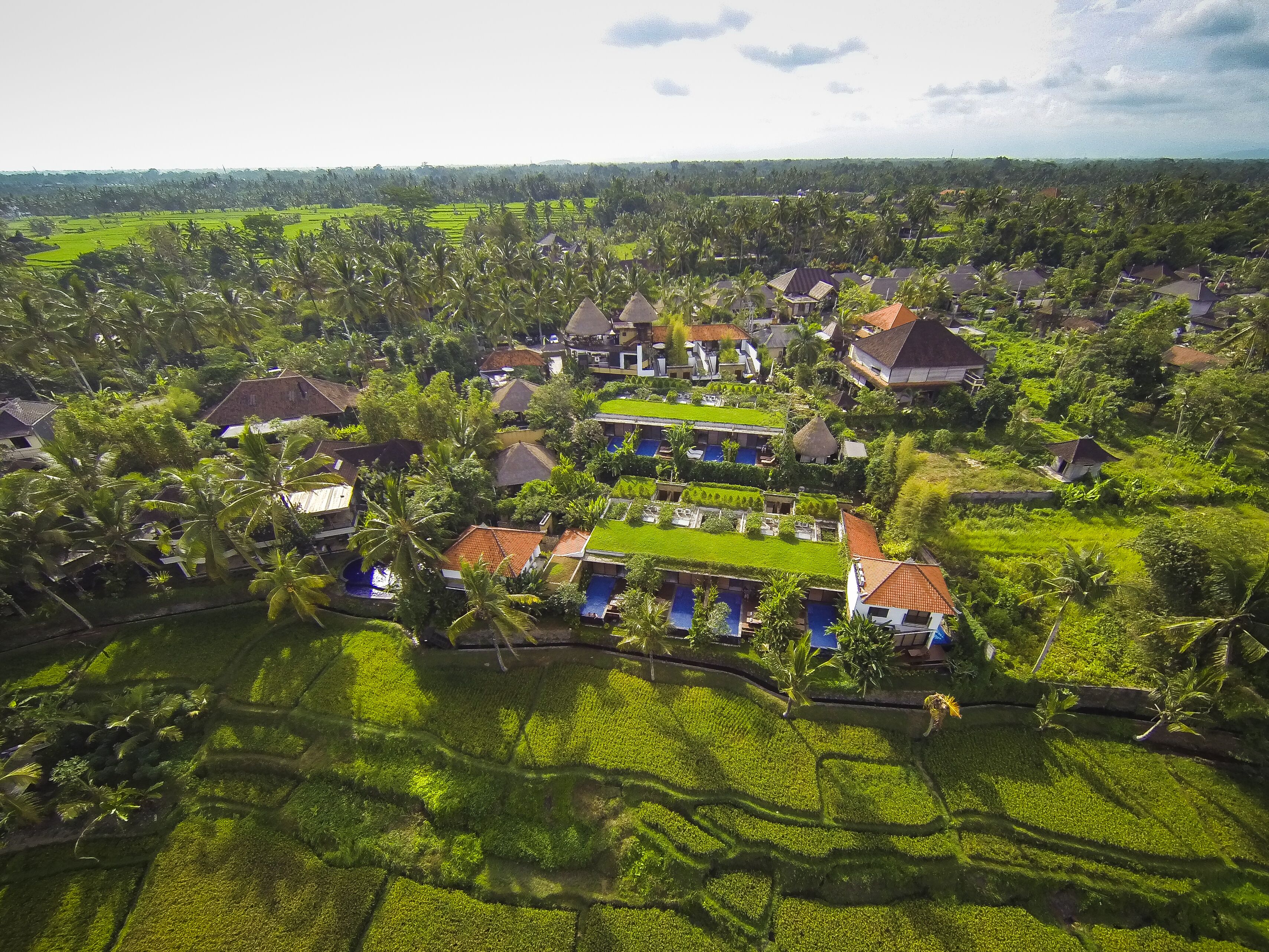 Vista aérea de un resort con varias construcciones tipo bungaló, rodeado de exuberante vegetación y palmeras.