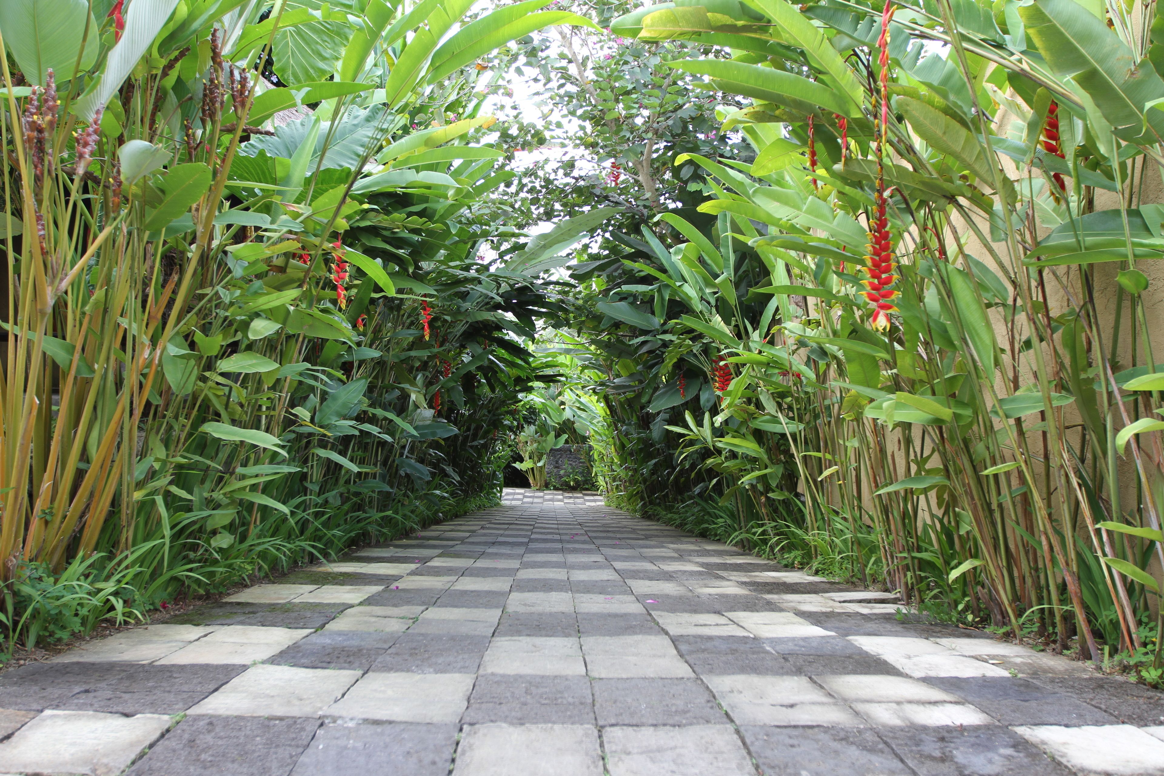 Pemandangan dari properti