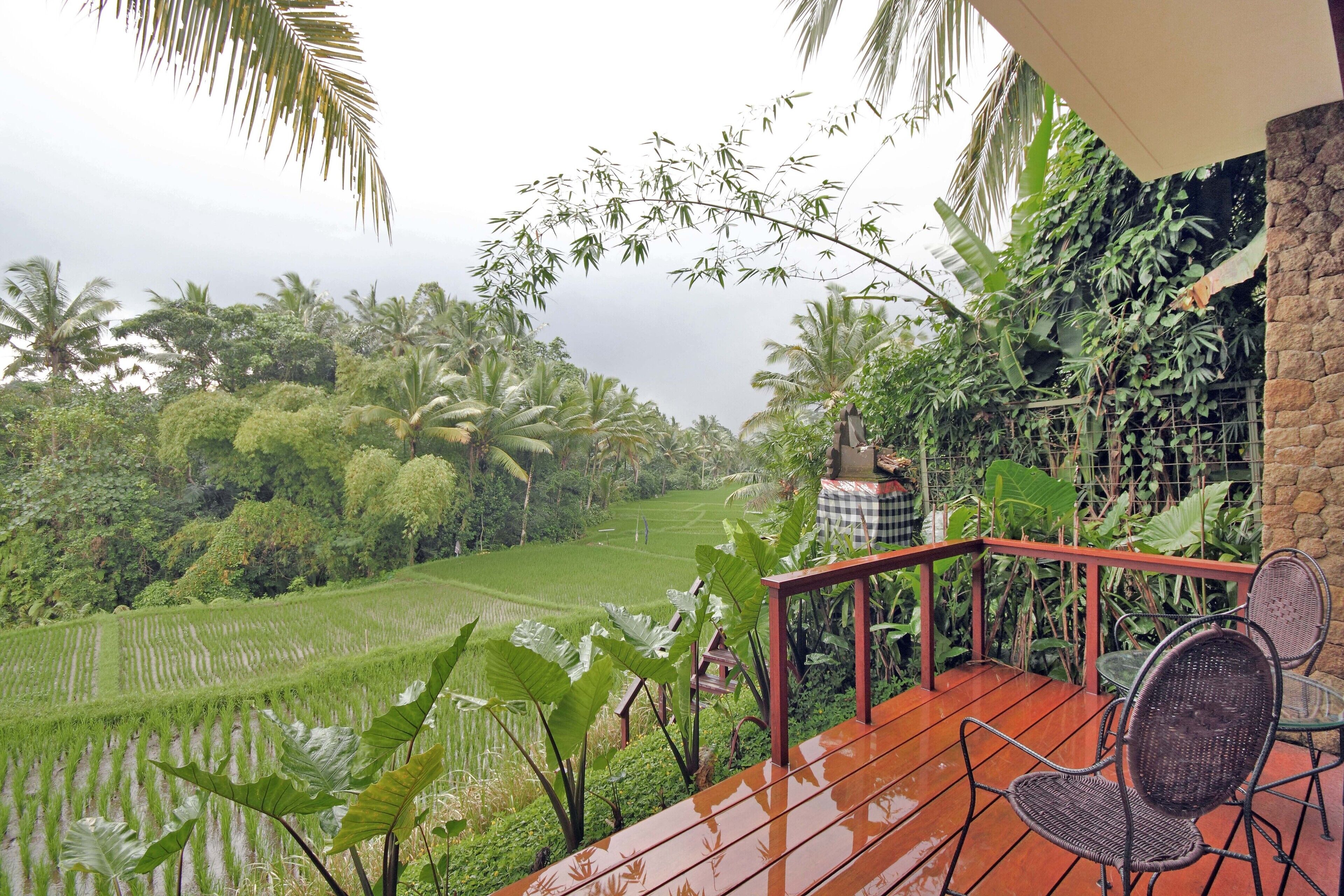 A wooden deck with chairs overlooking a lush green landscape with palm trees and a view of terraced fields.