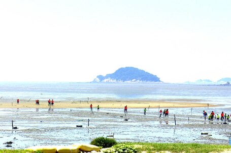 Playa