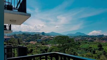 Deluxe Suite, 1 Bedroom | View from room