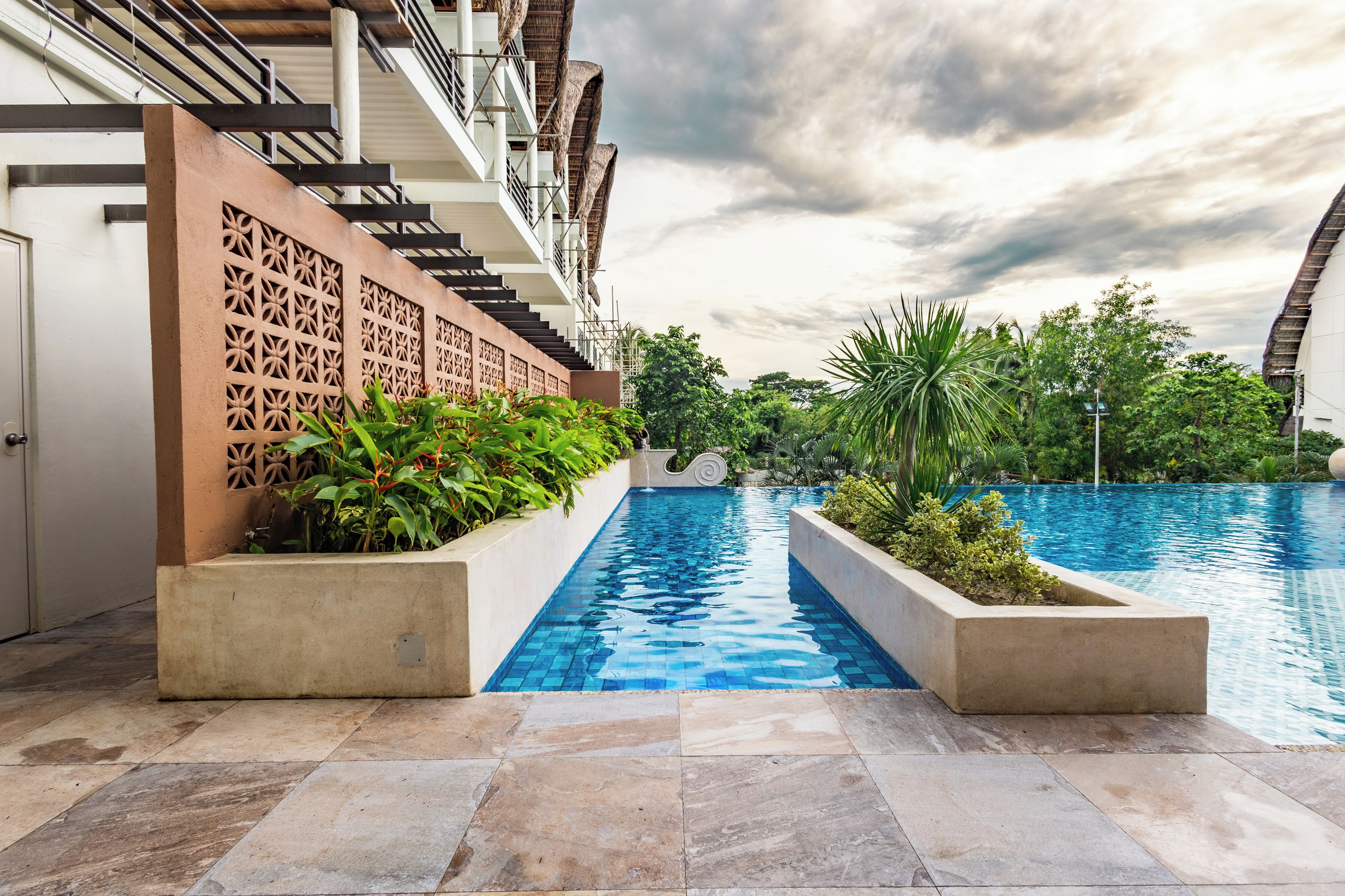 Una piscina con borde de baldosas, rodeada de exuberante vegetación y un edificio de diseño moderno.