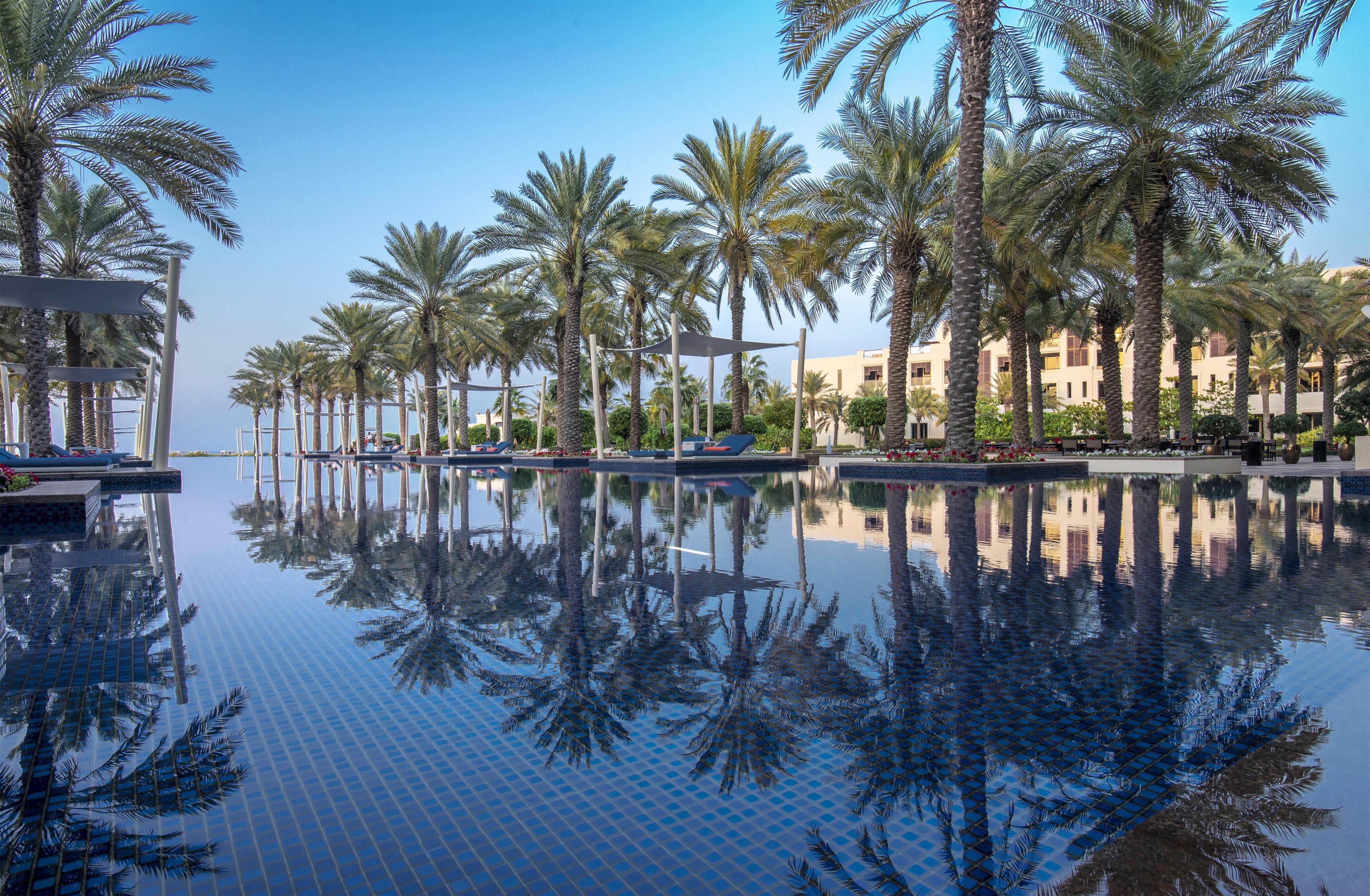A pool area with palm trees, a clear sky, and a reflection of the trees in the water.