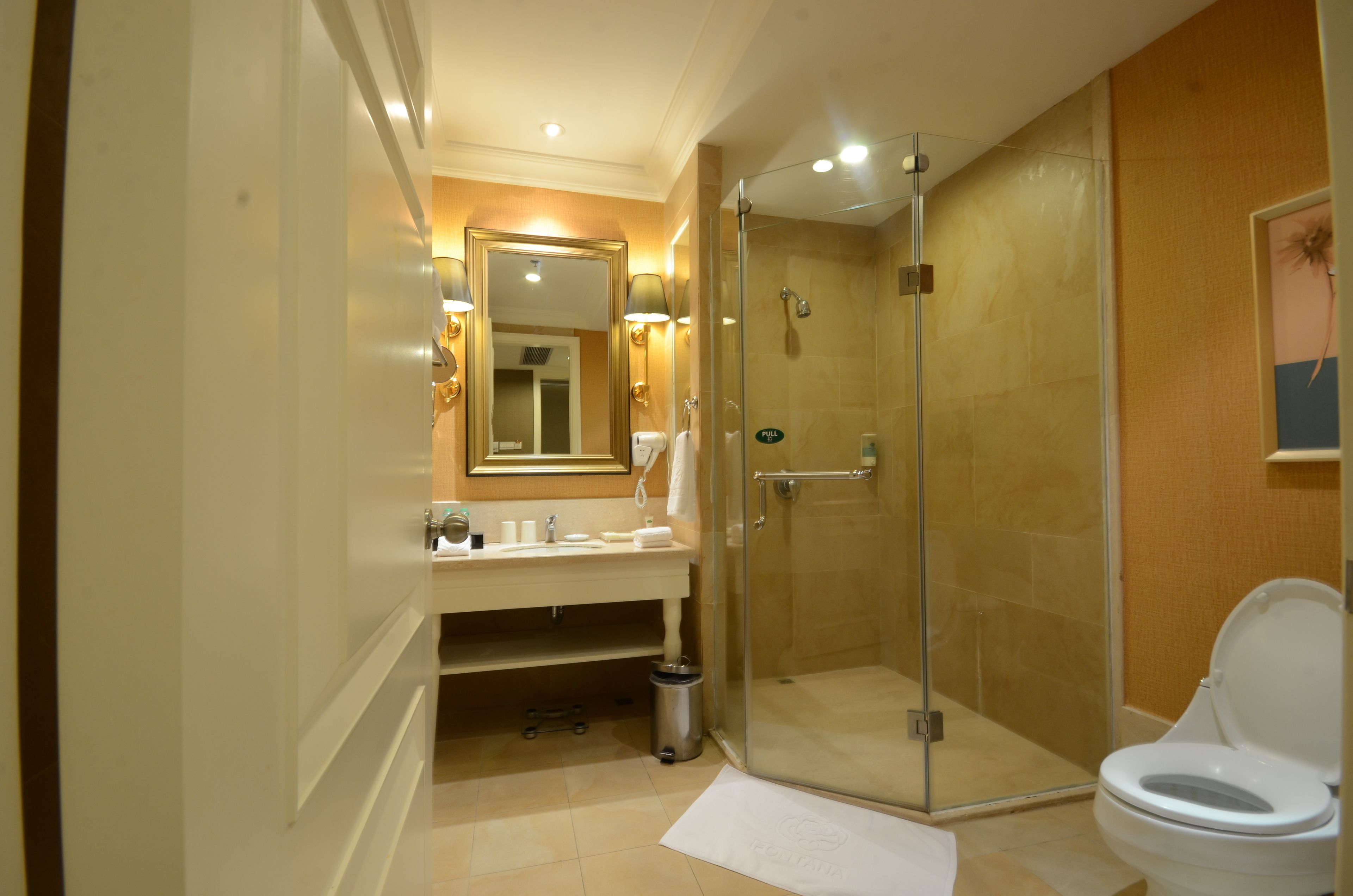 Minibar, desk, rollaway beds, bed sheets