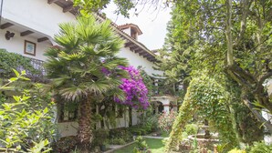 Un patio con una palmera, buganvillas púrpuras y una fuente.