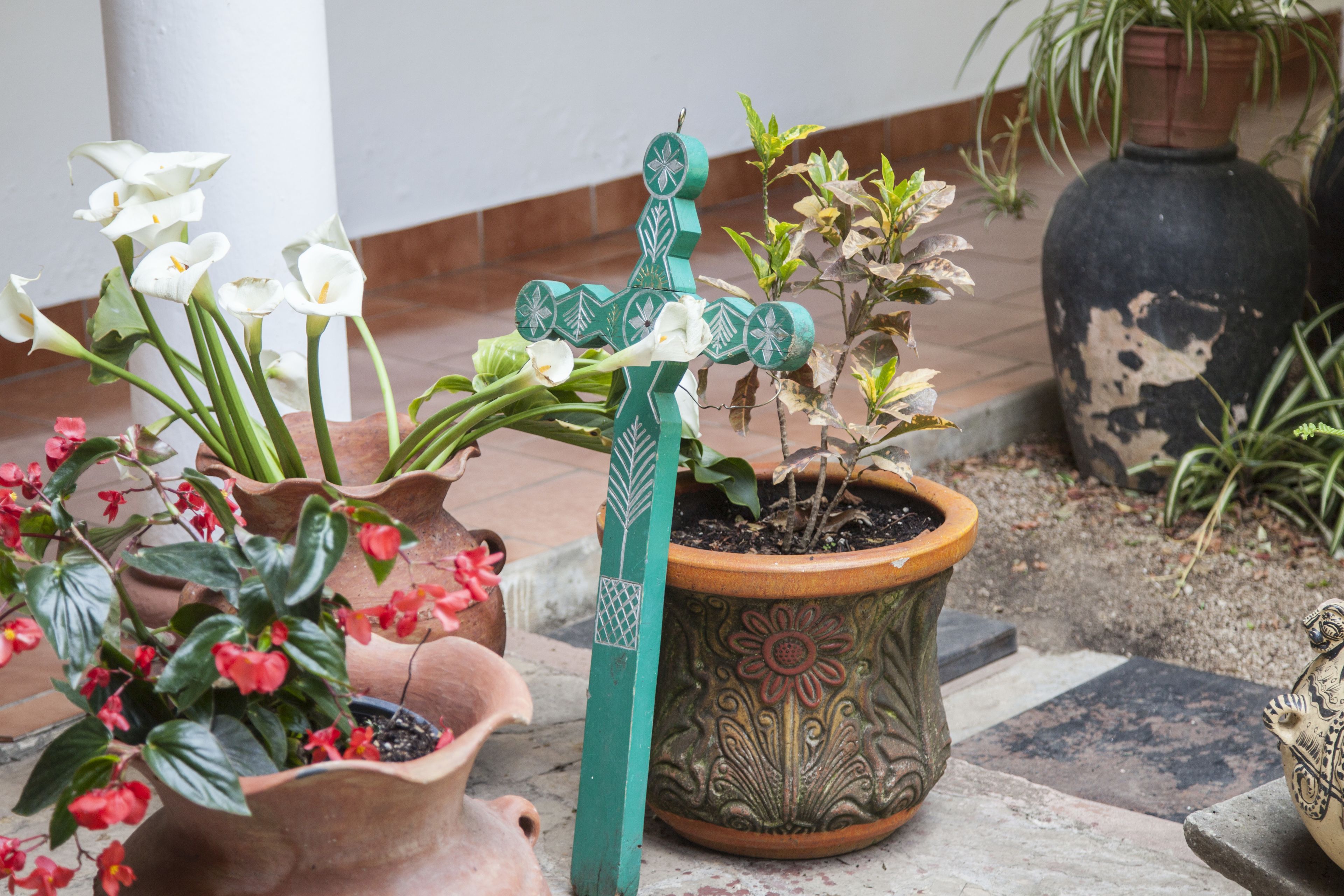 On peut y admirer une variété de plantes en pot ainsi qu’une structure décorative en bois, le tout dans un cadre extérieur.
