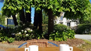 A table with two white cups and saucers, a wicker chair, and a large tree with dense green foliage.