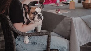 Una mujer sentada a una mesa con un perro, sosteniendo una copa de vino.