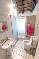 Un baño con ducha, inodoro, lavamanos y espejo.