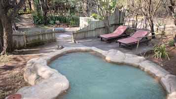 Relax in a serene hot spring surrounded by lush vegetation and comfortable lounge chairs.