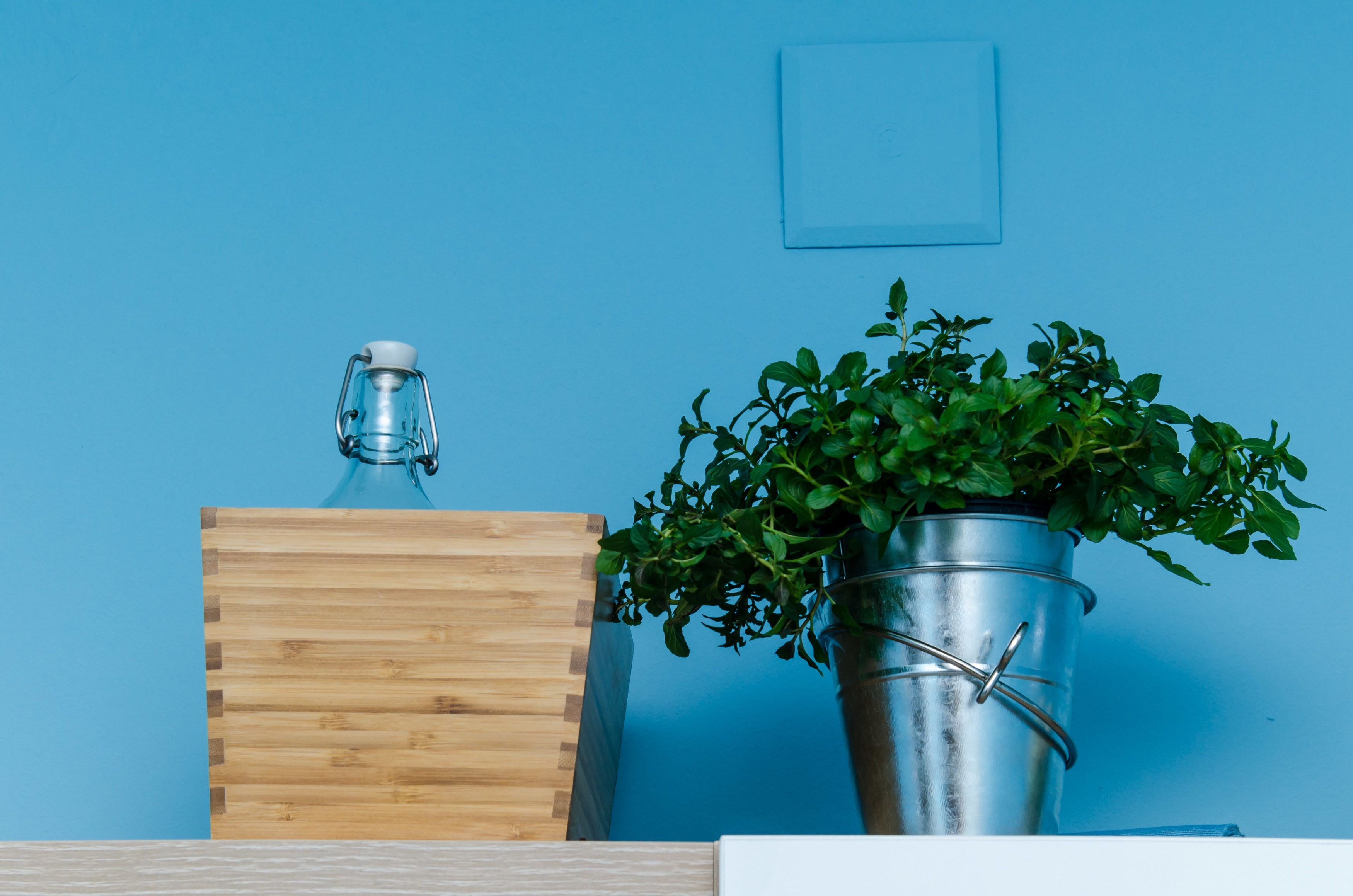 Photo - Apartments Zore Glavinić