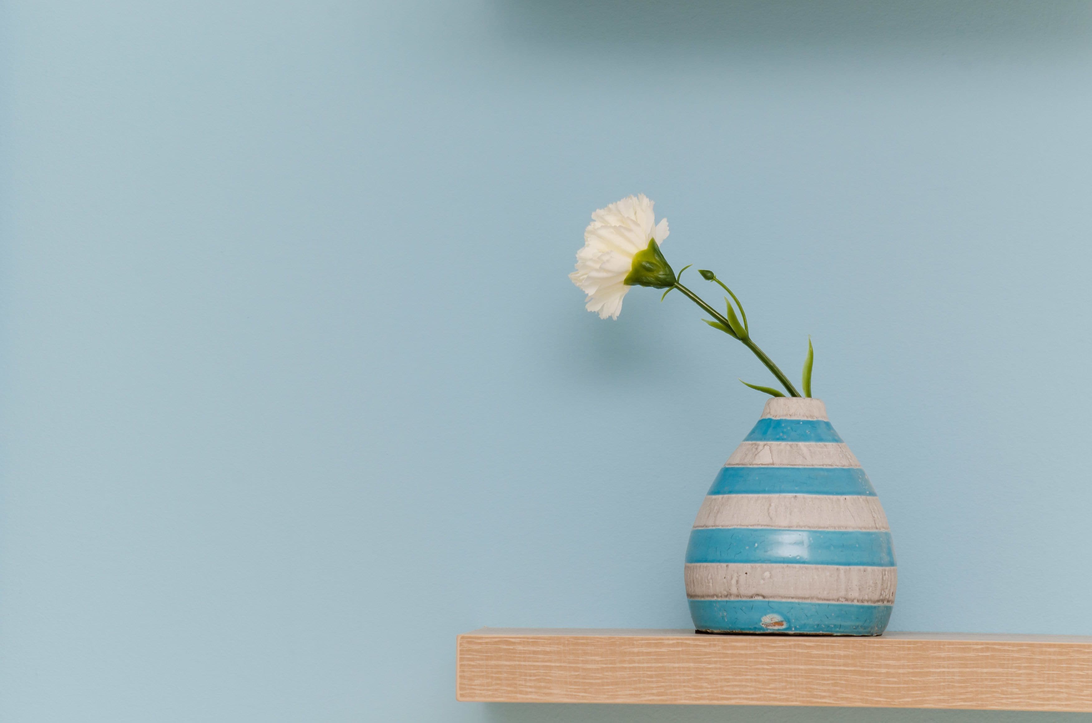 Photo - Apartments Zore Glavinić