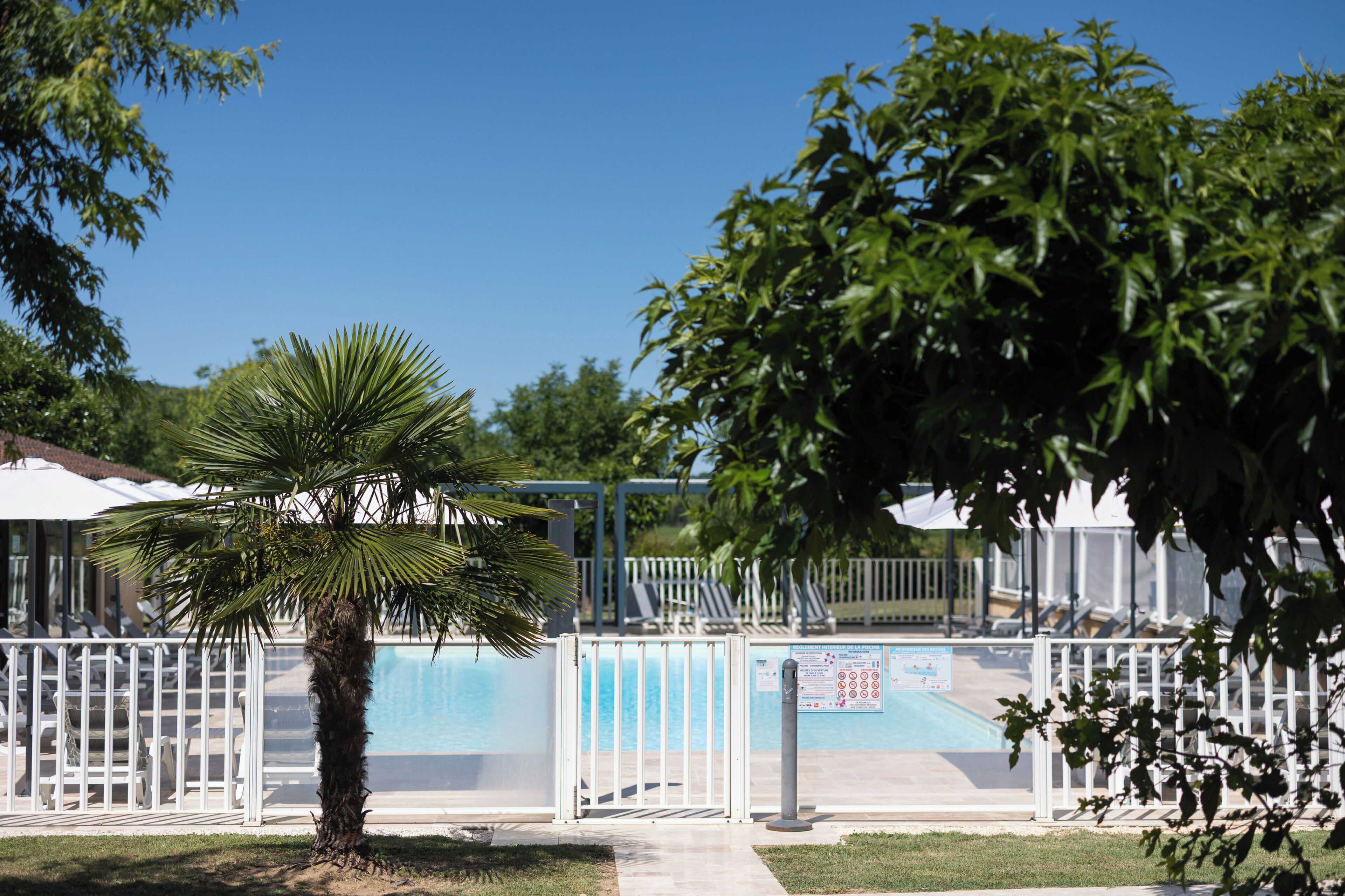 Ein Swimmingpool mit weißem Zaun, Liegestühlen und einer Palme.
