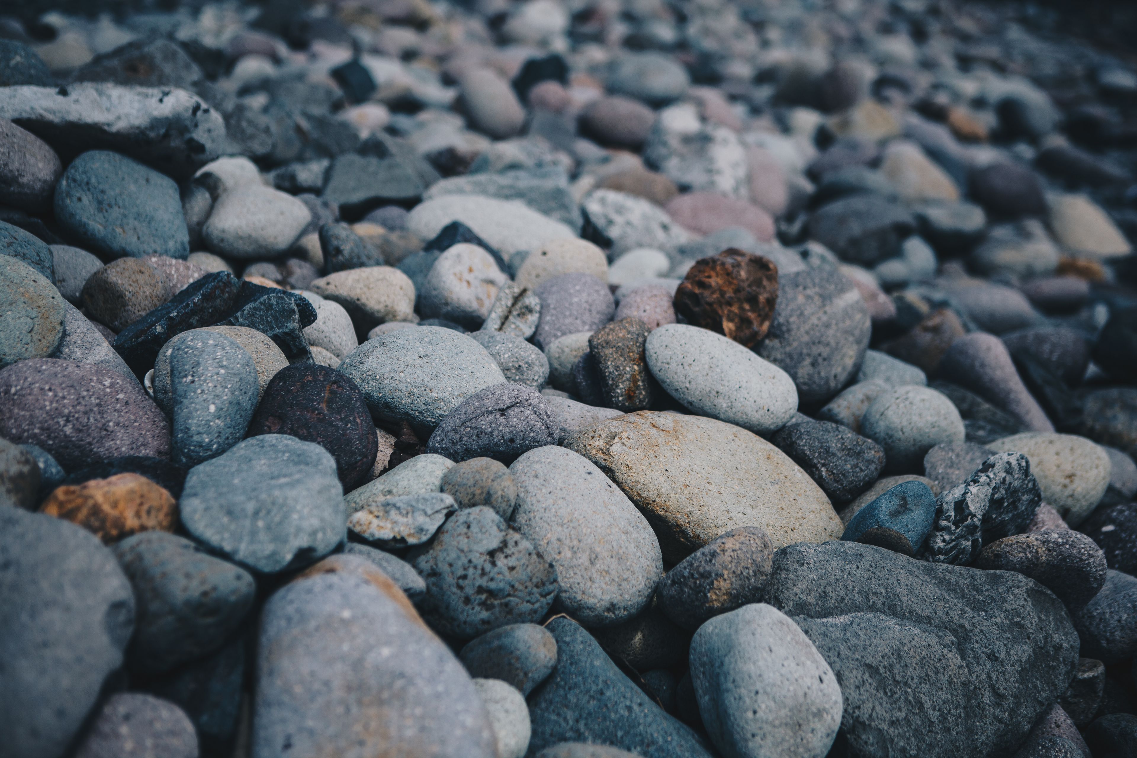 A close-up of variously shaped and colored stones.