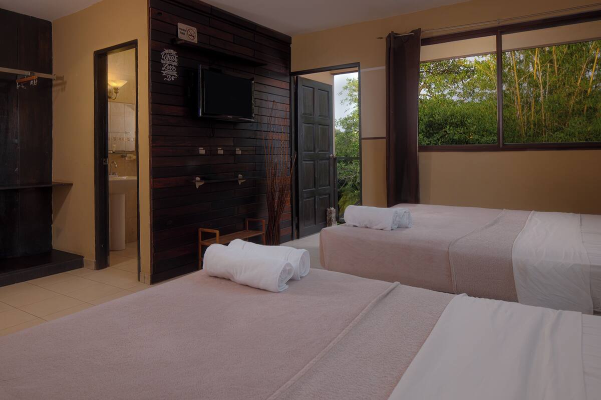 A hotel room with two beds, a TV, a bathroom, and a view of trees through the window.