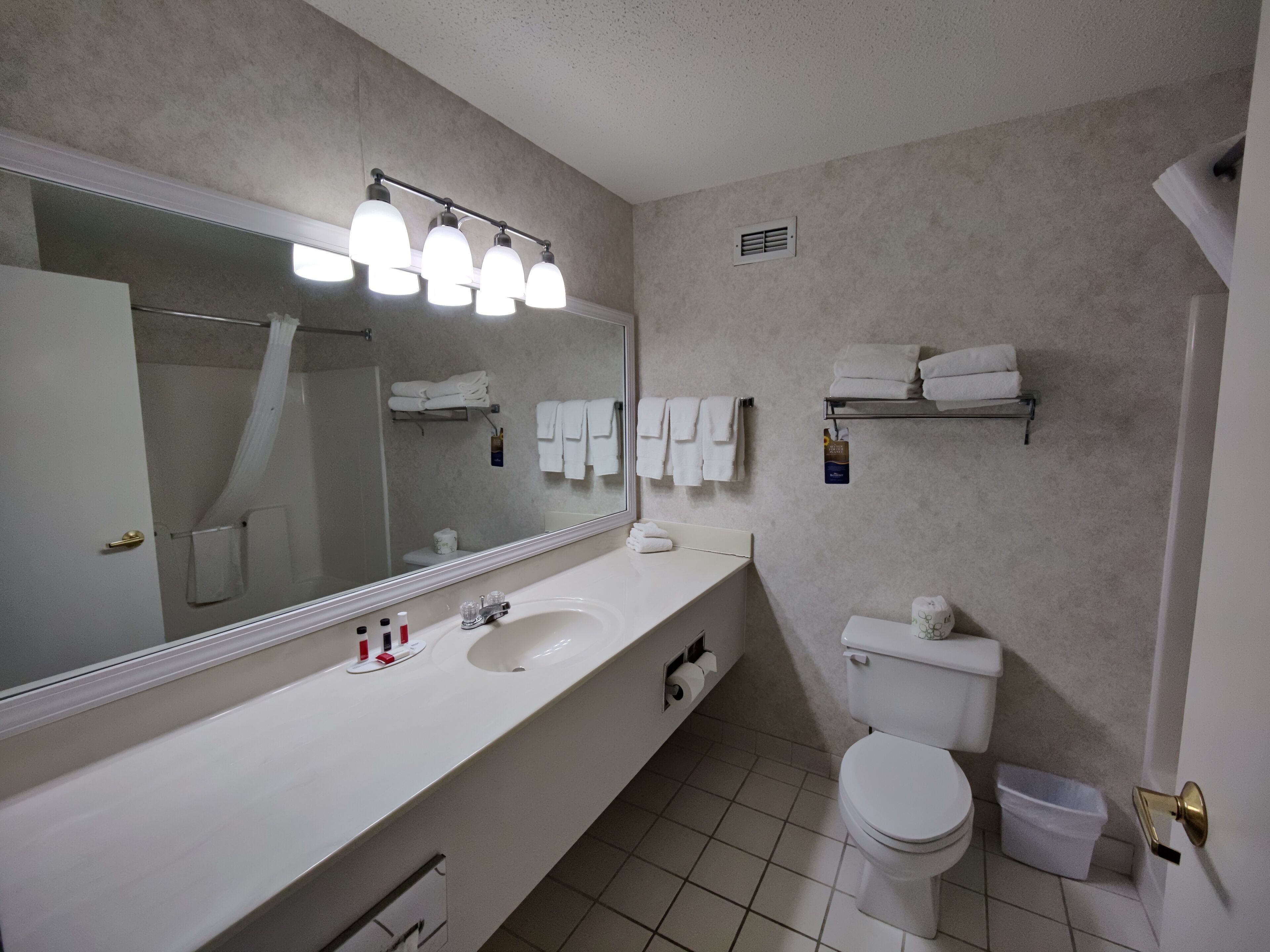 Une salle de bain avec un grand miroir, un lavabo, des toilettes et une douche. On y trouve des serviettes et des articles de toilette sur le comptoir.