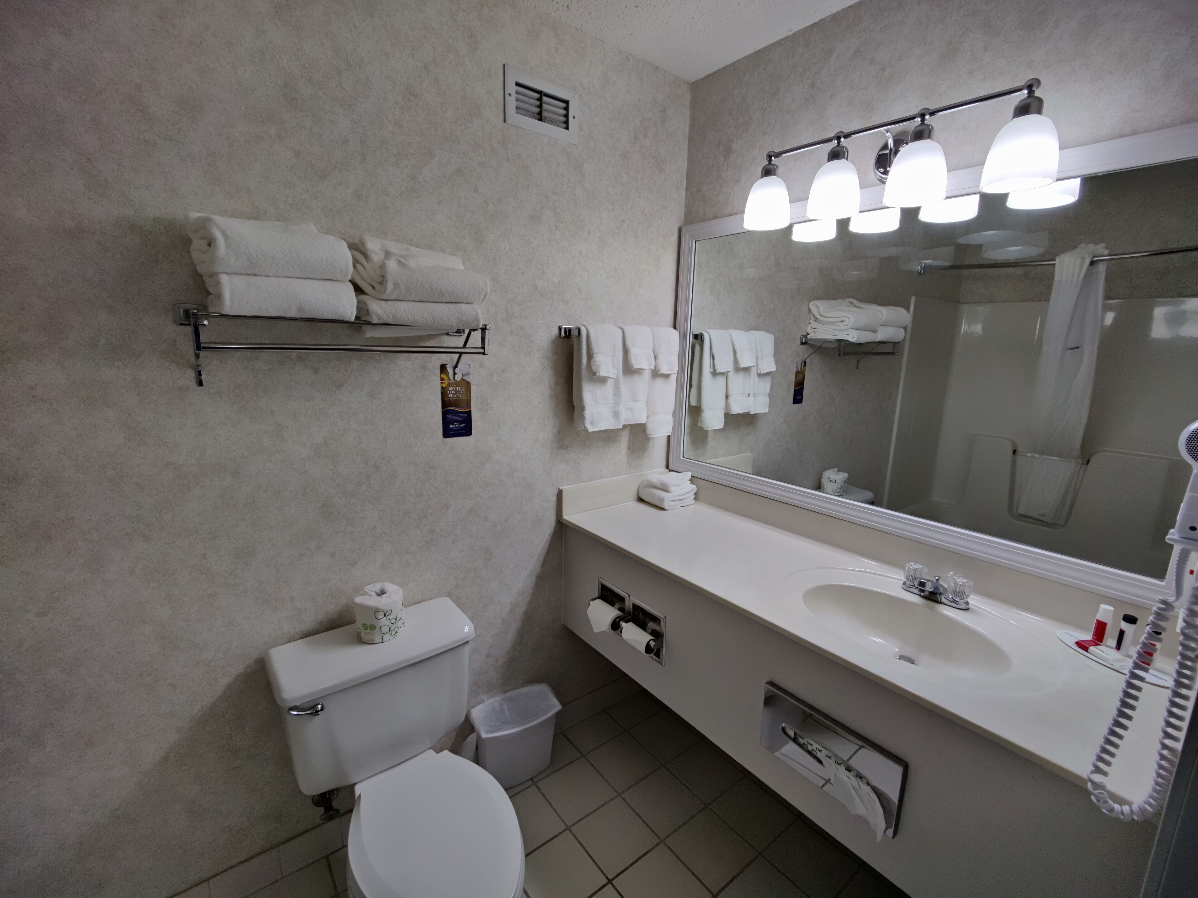 suite, 1 king bed, non smoking | bathroom | combined shower/bathtub, free toiletries, hair dryer, towels