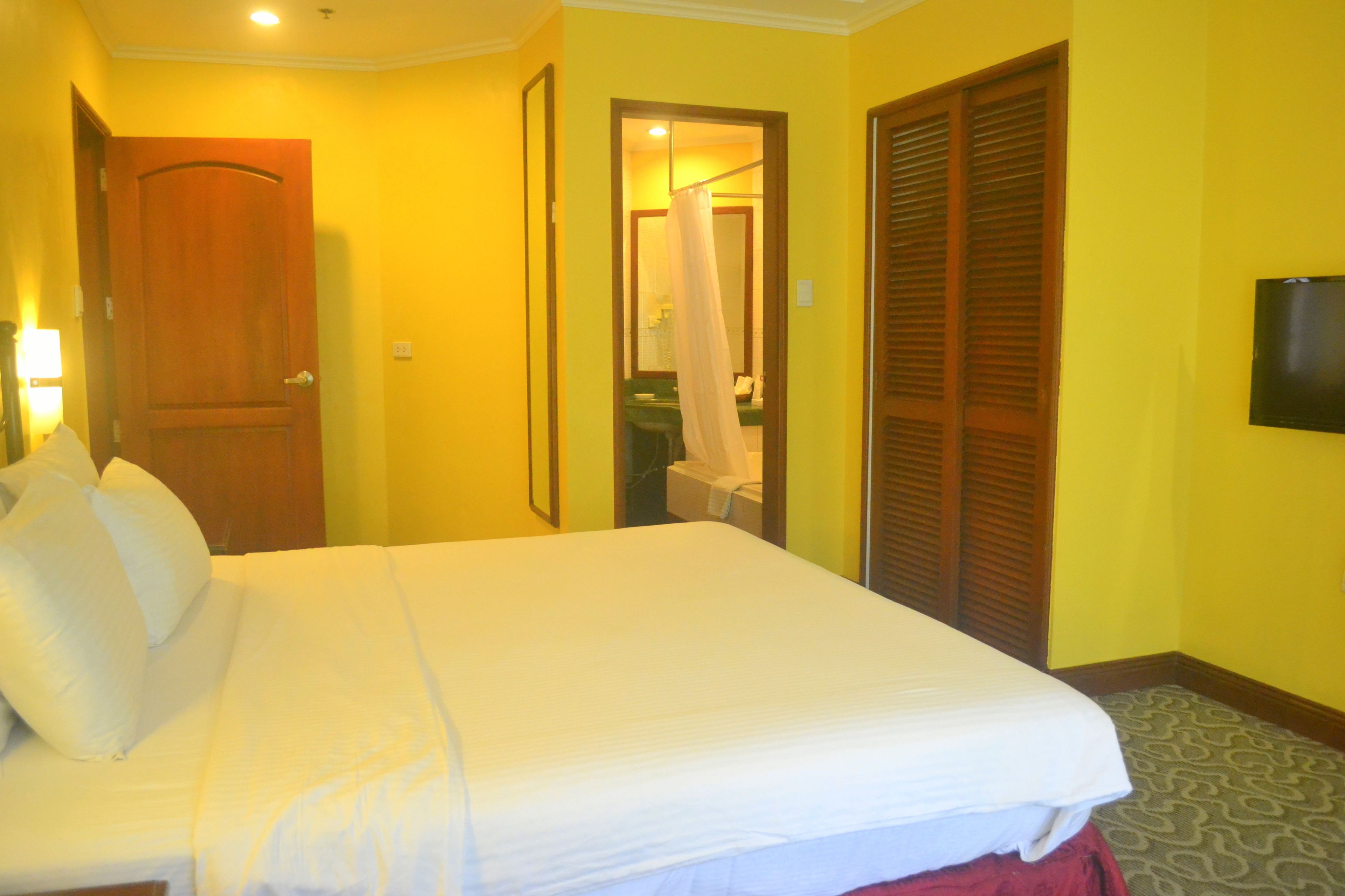 A hotel room with a bed, a wooden door, a mirror, a shower area, and a television.