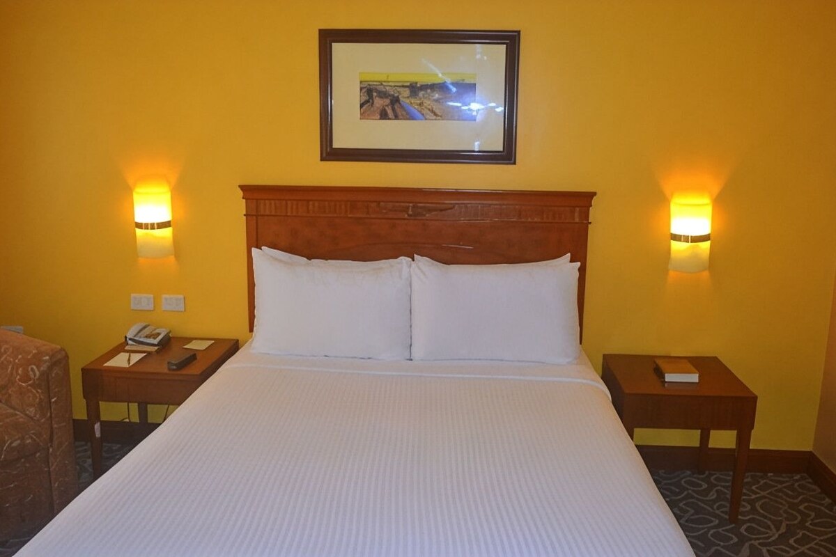 Minibar, in-room safe, desk, rollaway beds (surcharge)