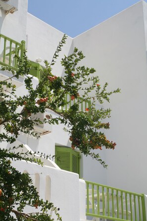 Exterior - Siren Rooms & Apartments (Paros)