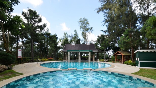 Ảnh chưa phân loại, 1 trong số 115 ảnh, nút