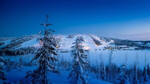 Unclassified image, 4 of 32, button - Best Western Ukkohalla Chalets (Hyrynsalmi)