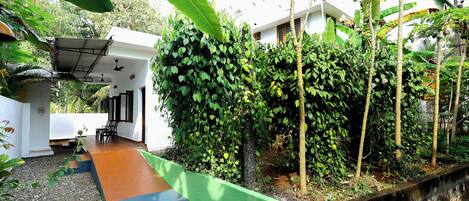 2 habitaciones, muebles diferentes, escritorio y insonorización