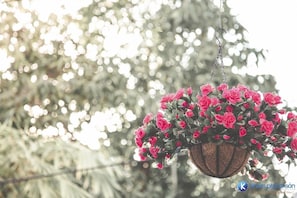 الردهة
