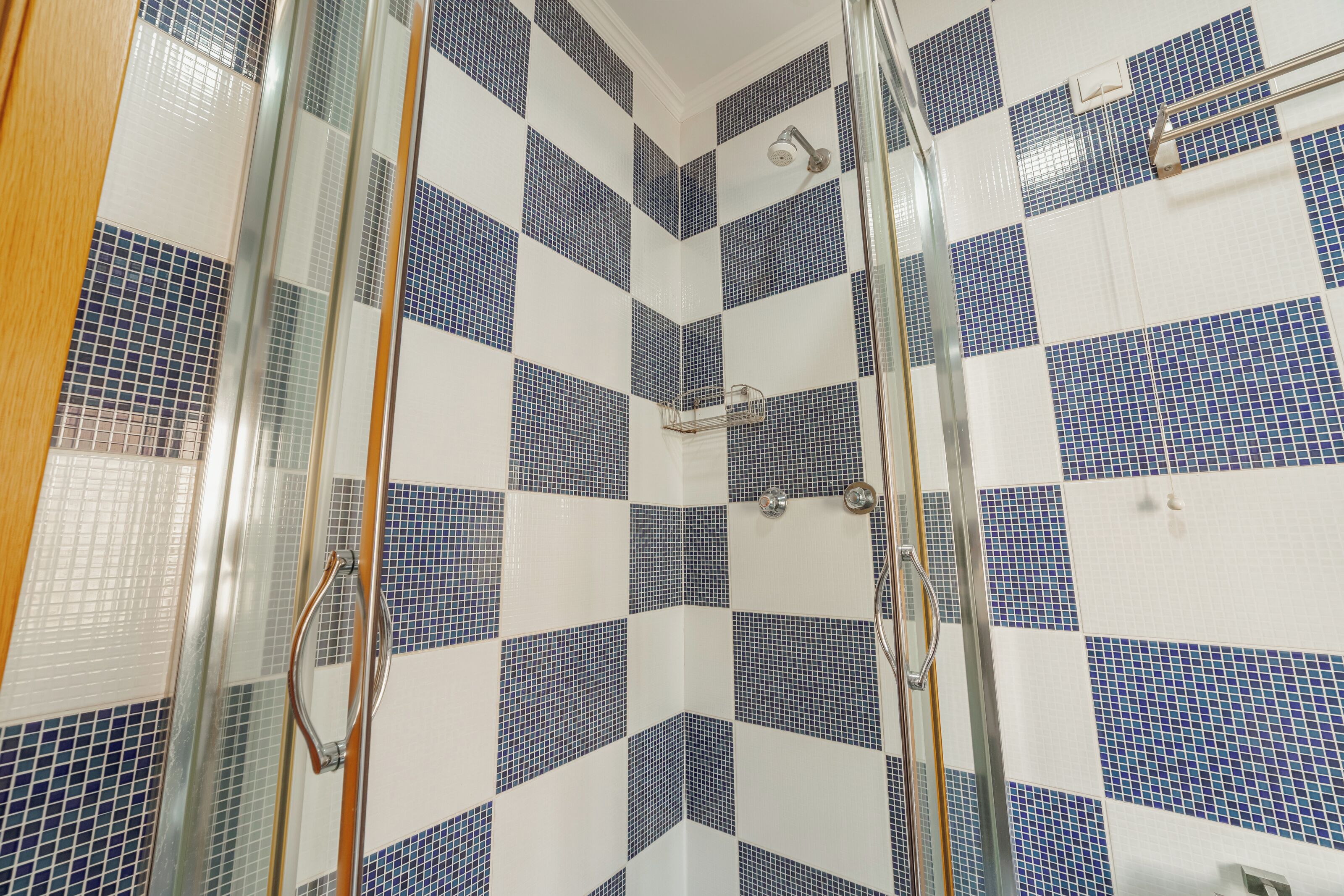 Casa de banho com azulejos quadriculados azul e branco, cabine de chuveiro em vidro e chuveiro visível.