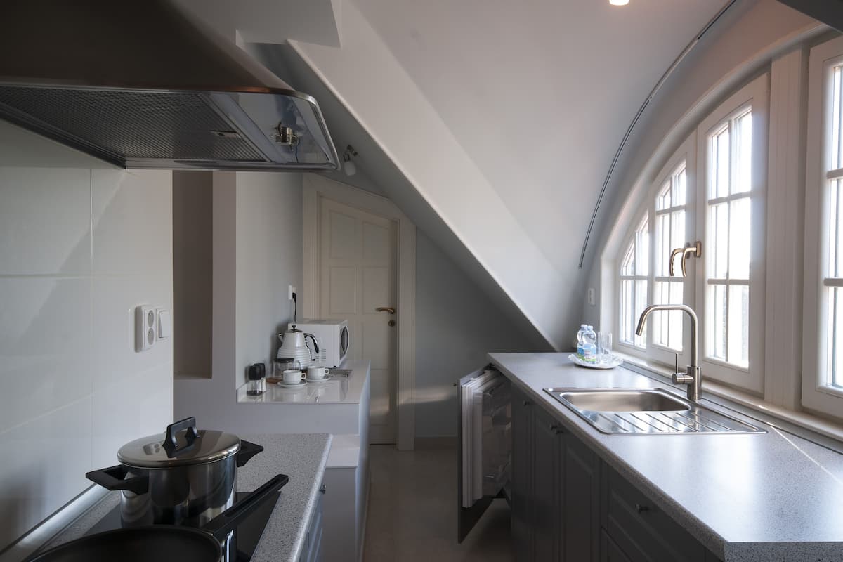 comfort apartment, 1 queen bed with sofa bed | private kitchenette | electric kettle