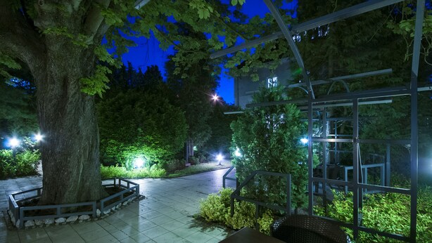 A nighttime outdoor area with a large tree, a metal pergola, and a tiled walkway.