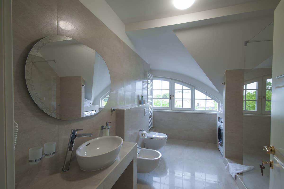 comfort apartment, 1 queen bed with sofa bed | bathroom | shower, free toiletries, hair dryer, towels