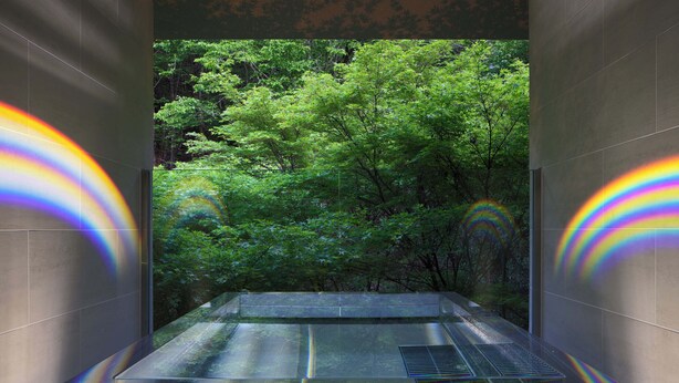 A modern, rectangular hot tub with a glass enclosure, surrounded by lush greenery.