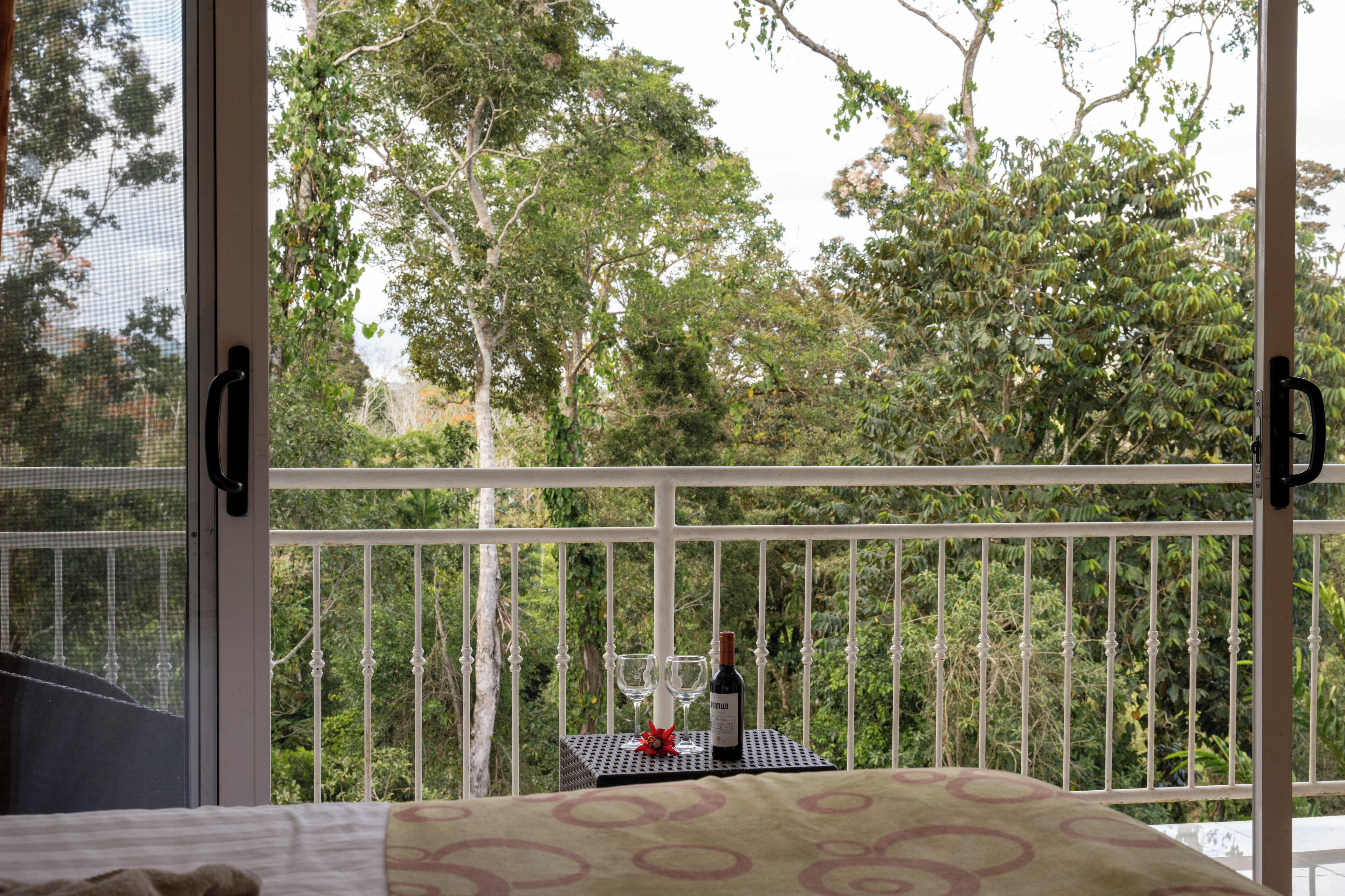 superior room | view from room