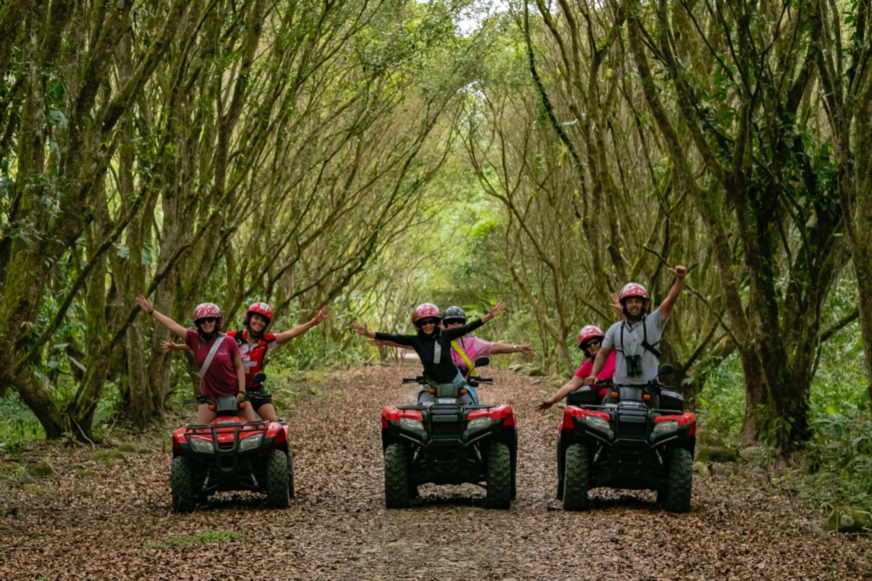 Four people on ATVs in a forested area.