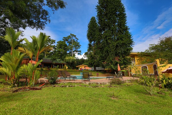Un exuberante jardín con piscina, palmeras y una terraza de madera.