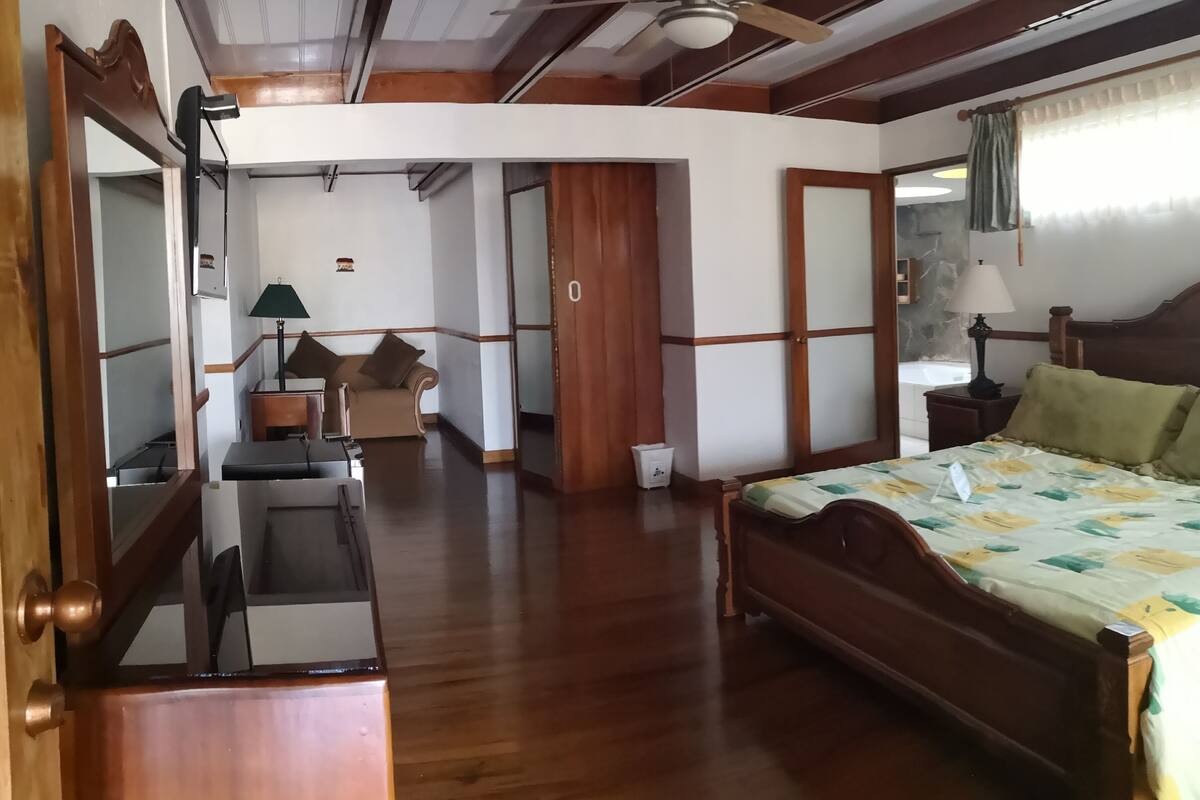 A room with a bed, a desk, a chair, a ceiling fan, and a door leading to another room.
