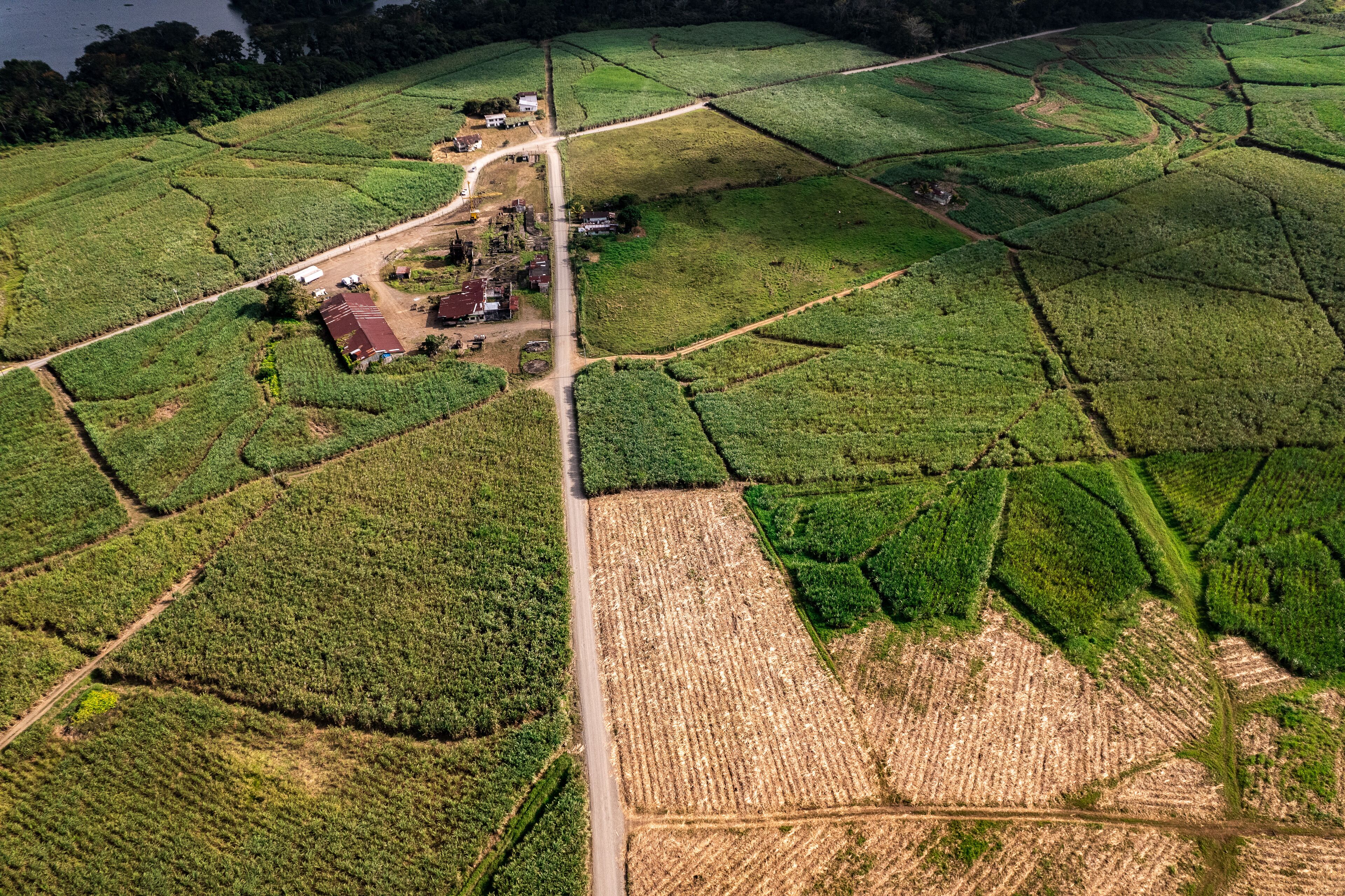 An aerial view of a rural area with fields, a road, and a small settlement with buildings.