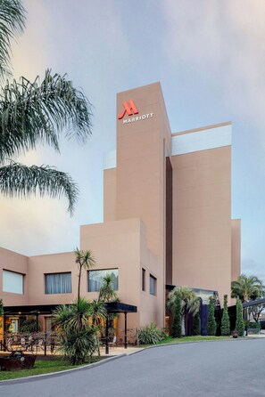 View from property - Marriott Hotel Buenos Aires Ezeiza Airport (Ciudad Evita)